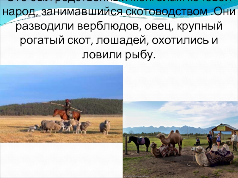 Это был родственный монголам кочевой народ, занимавшийся скотоводством .Они разводили верблюдов, овец, крупный рогатый скот, лошадей, охотились