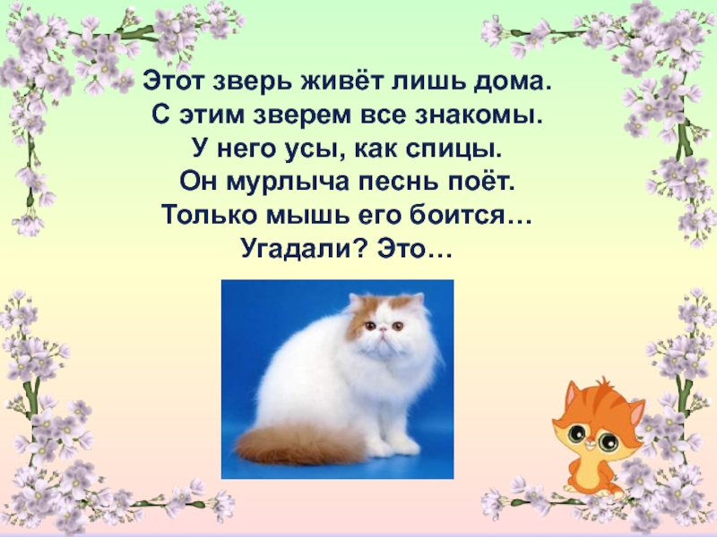 Как сделать проект мои домашние питомцы по окружающему миру 1 класс