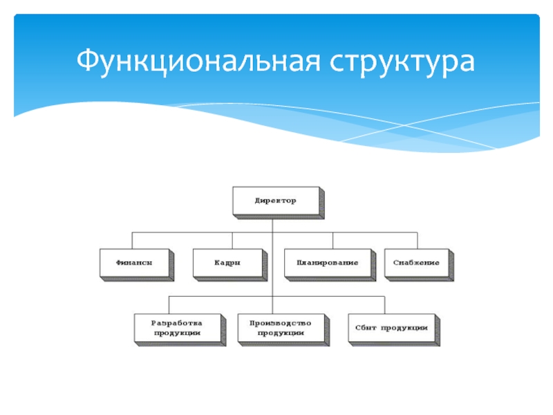 Функциональный состав организации. Функциональная структура персонала организации. Структура управления персоналом в организации схема. Функциональная организационная структура. Функциональная структура управления.
