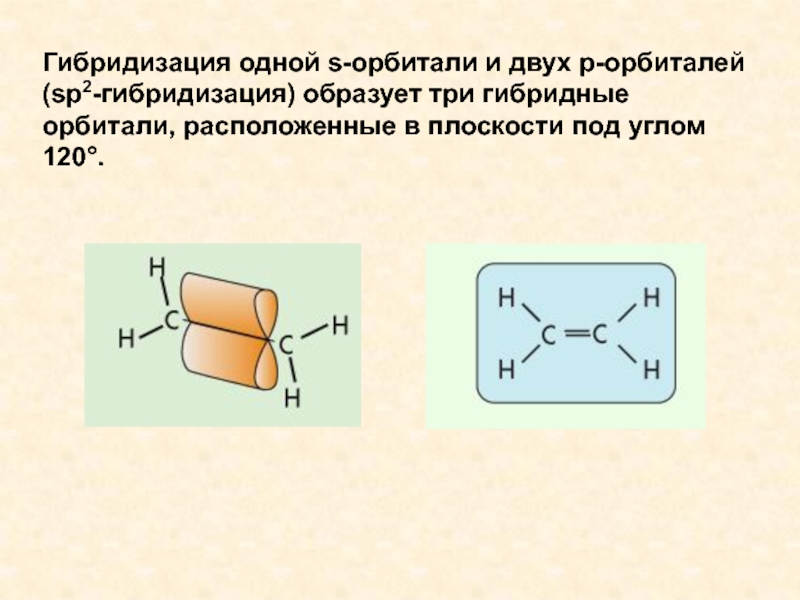 Три образоваться