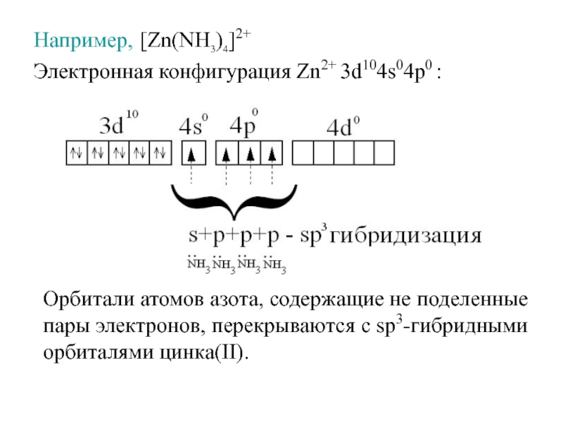 Zn схема строения