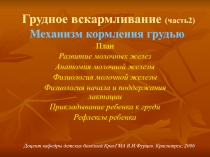  Механизм кормления грудью