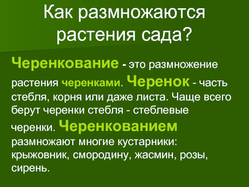 Как размножаются растения сада?Черенкование - это размножение растения черенками. Черенок - часть стебля, корня или даже листа.