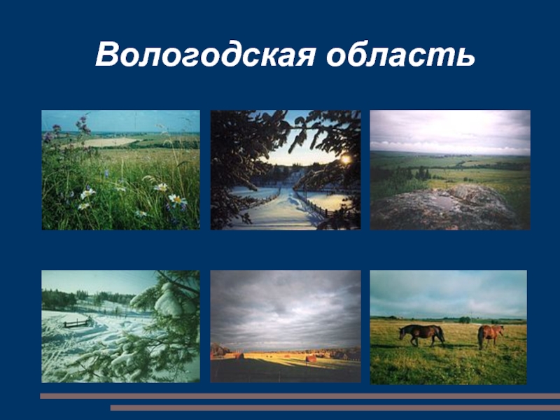 Презентация Почвы Вологодской области