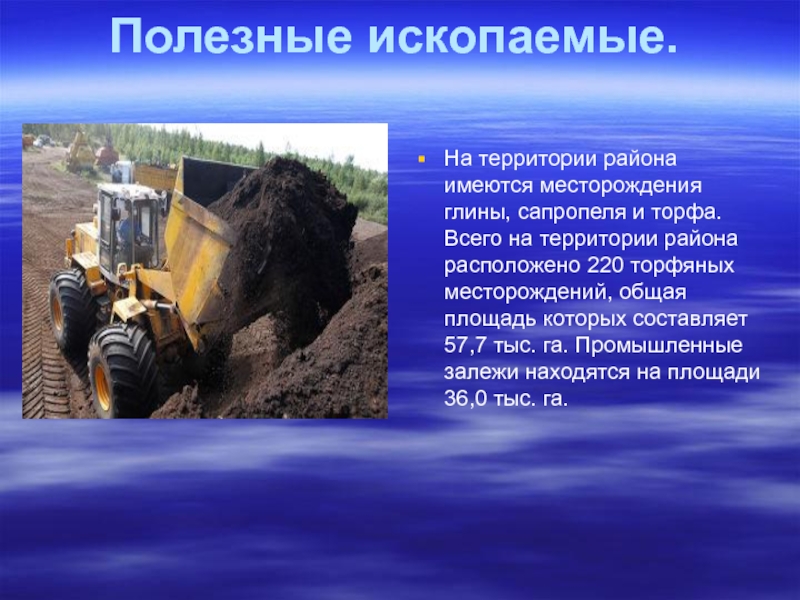 Какие полезные ископаемые в нижегородской области добывают. Полезные ископаемые торф. Месторождения торфа.