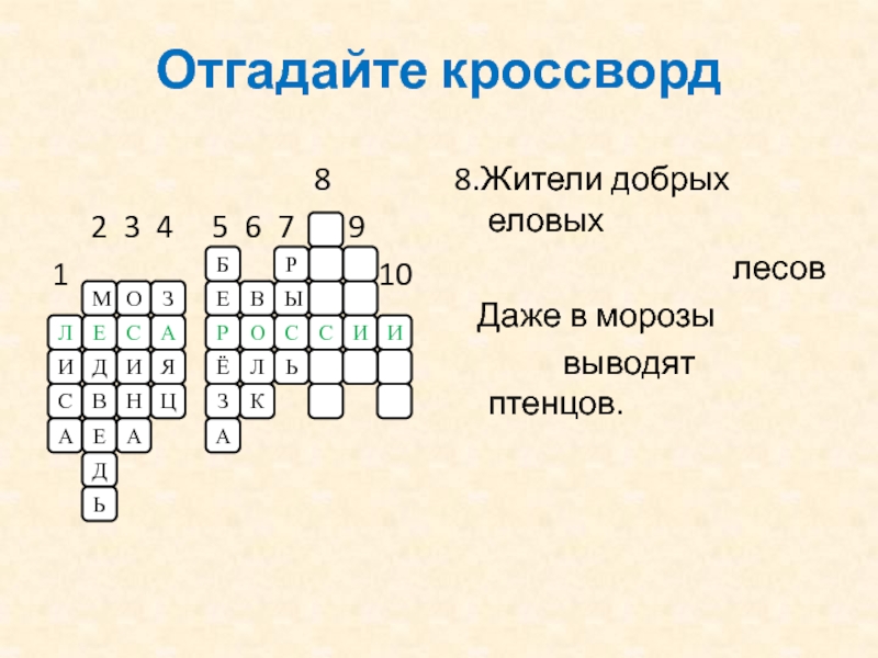 Угадай кроссворд. Отгадать кроссворд. Кроссворд на тему еловый лес. Леса России кроссворд 4 класс. Кроссворд про древесину 5 класс с ответами.