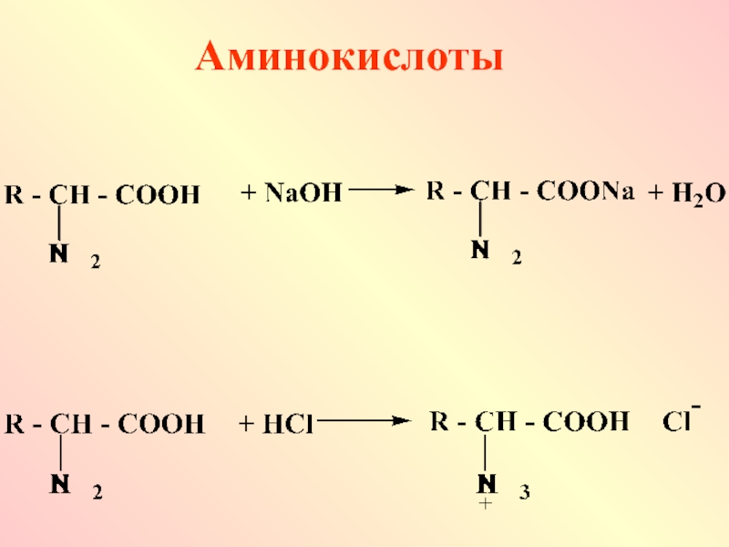 Кислотно основные аминокислоты