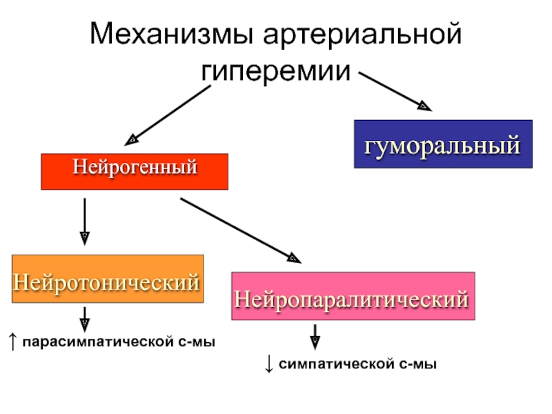 Виды гиперемии схема