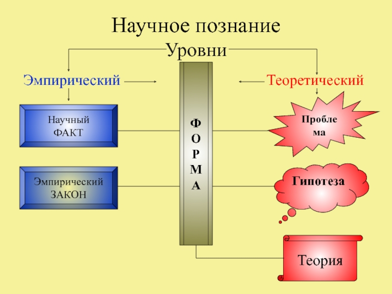 Цель научной истины. Теория познания 10 класс. Эмпирический закон. Научный факт эмпирический закон проблема гипотеза теория. Научное познание любви.