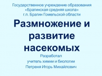 Размножение и развитие насекомых