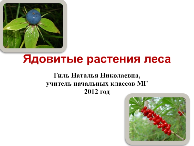 Презентация Ядовитые растения
