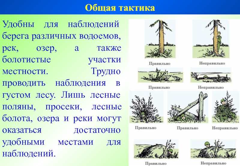 Сложным проведенного. Особенности выживания в лесисто болотистой местности. Особенности выживания в лесисто болотистой местности кратко.