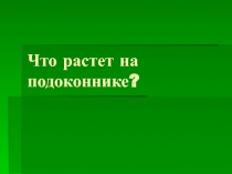 Что растет на подоконнике