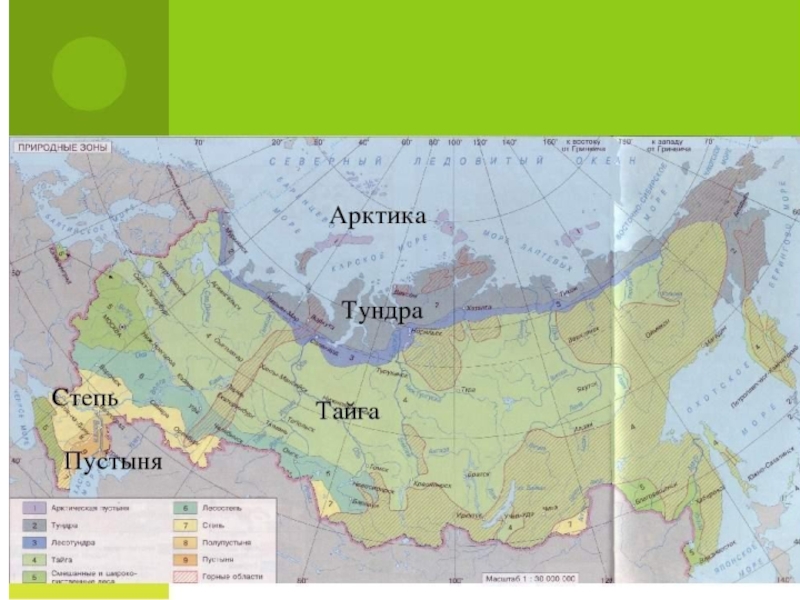 Географическое положение тундры в евразии