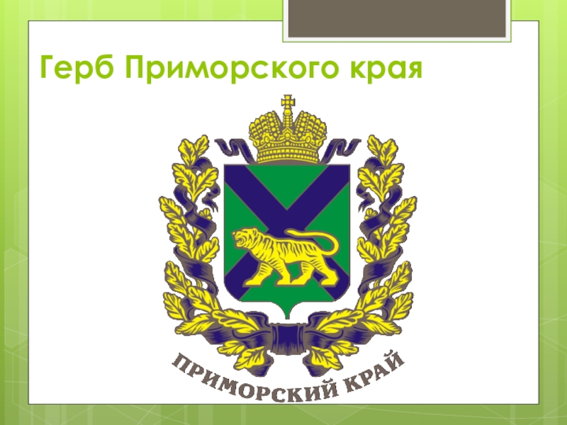 Флаг и герб приморского края картинки