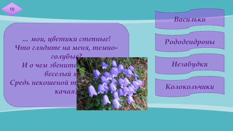 А толстой колокольчики мои презентация 3 класс перспектива