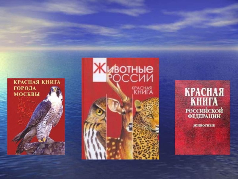 Презентация красная книга хабаровского края