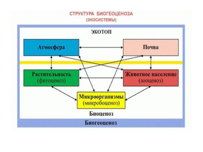 Человек и окружающая среда биология 8 класс презентация