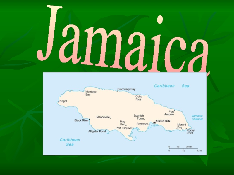 Презентация Jamaica