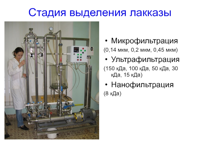 Инженерная энзимология презентация