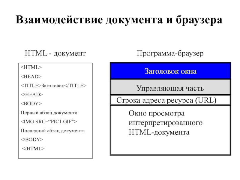 ЗаголовокПервый абзац документаПоследний абзац документа HTML - документПрограмма-браузерУправляющая частьОкно просмотра интерпретированного HTML-документаЗаголовок окнаСтрока адреса ресурса (URL)Взаимодействие документа
