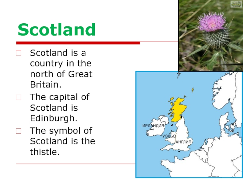 Scotland презентация на английском