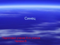 Синец