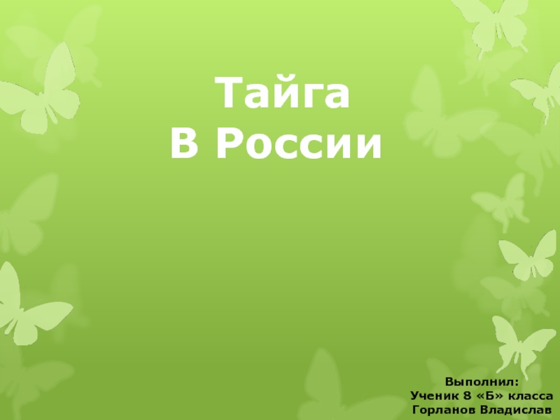 Презентация Тайга В России