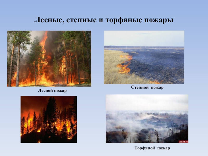 Природный пожар определение. Лесные, степные, торфяные, подземные пожары. Лесные и степные пожары. Лесные степные и торфяные пожары. Природные пожары лесных и торфяных пожаров.