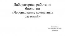 Лабораторная работа по биологии Черенкование комнатных растений