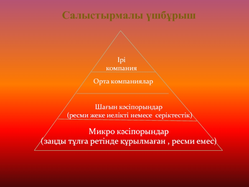 Орта компания