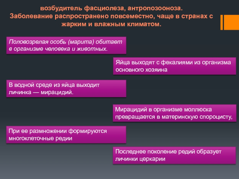 План ликвидации фасциолеза