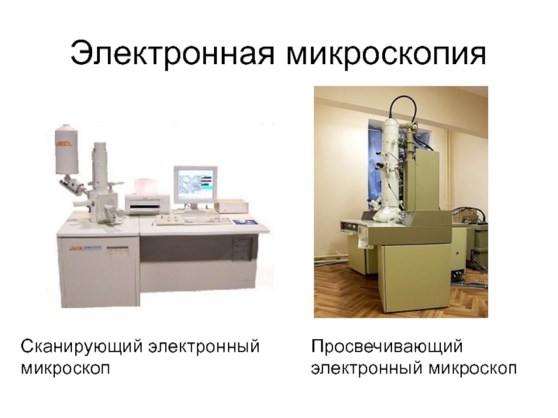 Сканирующая электронная микроскопия. Сканирующий и просвечивающий электронный микроскоп. Электронная микроскопия. Электронная микроскопия металлов и сплавов.