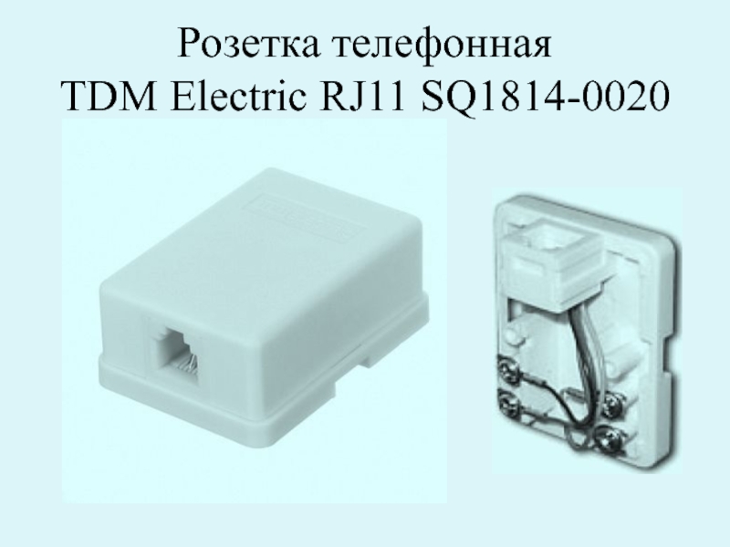Телефонная розетка 1 rj 11. Распиновка телефонной розетки rj11. розетка tdm electric. розетка телефонная rj-11. розетка тдм внутренняя телефонная двойная.