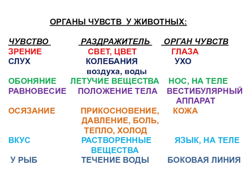 Органы чувств 7 класс. Органы чувств животных таблица. Эволюция органов чувств у животных. Органы чувств беспозвоночных. Эволюция органов чувств у животных таблица.