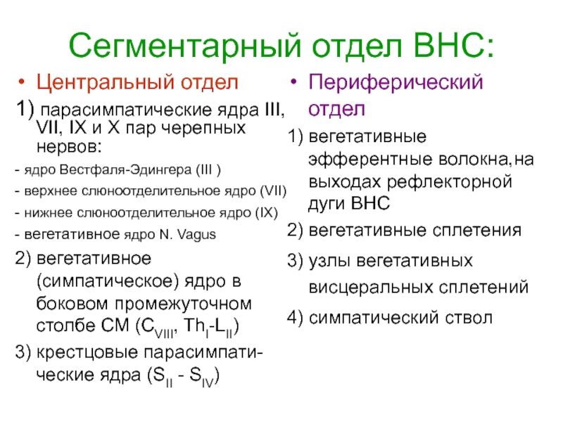 Вегетативные функции. Сегментарный отдел ВНС. Функция Нижнего слюноотделительного ядра. Сегментарный уровень регуляции вегетативных функций. Функции слюноотделительного ядра.