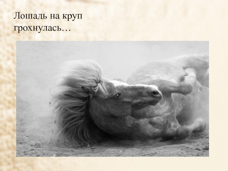Хорошее отношение к лошадям ответы. Хорошее отношение к лошадям Маяковский. Маяковский лошадь на круп грохнулась. Хорошее отношение к лошадям иллюстрации. Лошадь на круп грохнулась.