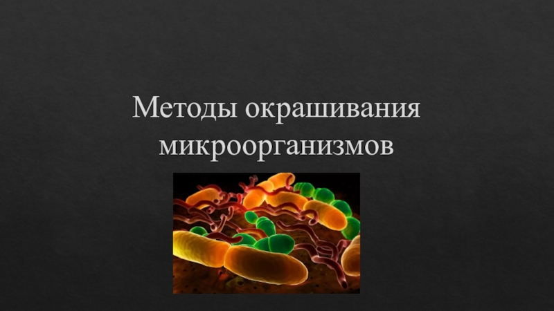 Методы окрашивания микроорганизмов