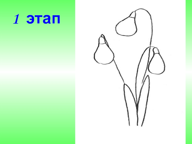 Рисуем подснежники поэтапно 1 класс презентация