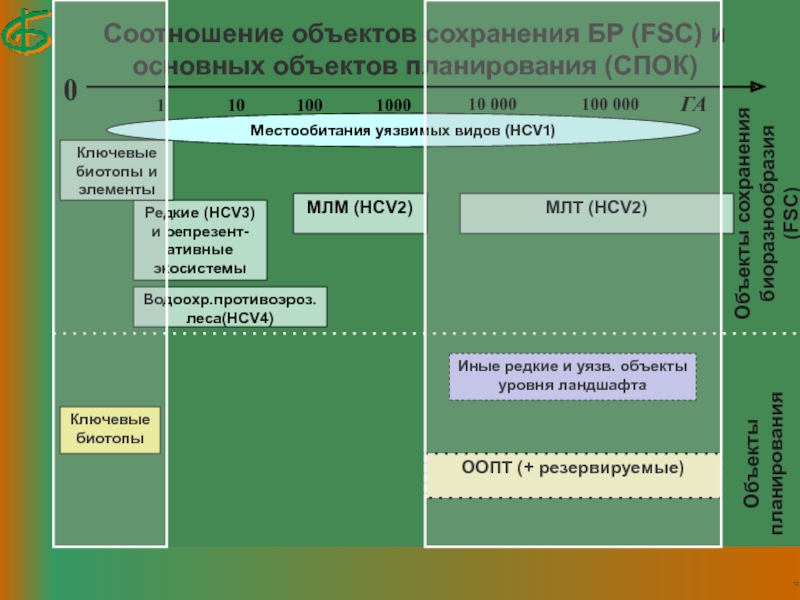 Соотношение объектов. Типы биотопов основные. Методы исследования для сохранения биотопов. Как уровни биоразнообразия соотносятся между собой. Соотношение площадей биотопов в России.