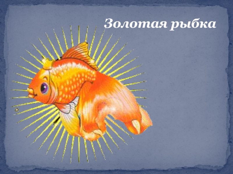 Карта золотая рыбка. Золотая рыбка. Золотая рыбка морская. Надпись Золотая рыбка. Группа Золотая рыбка.