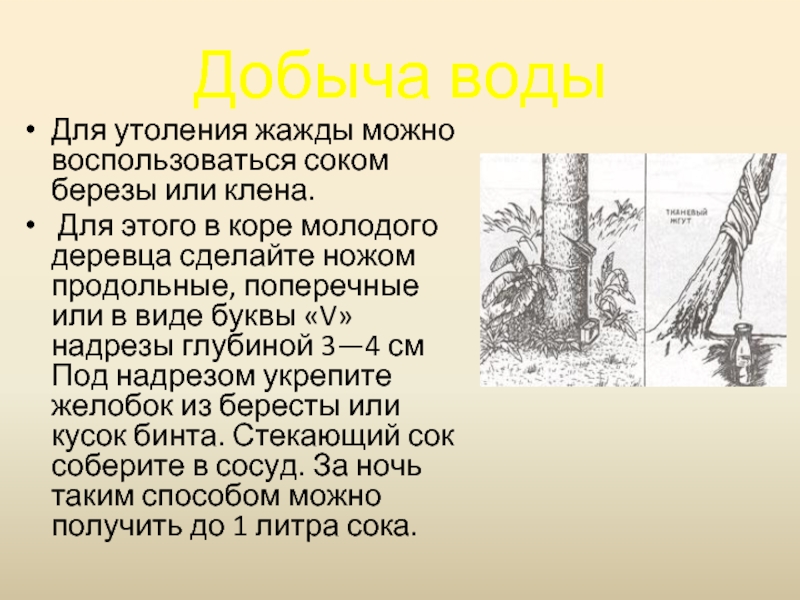 Правила выживания в автономных условиях на воде презентация