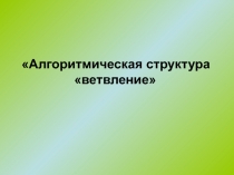 Алгоритмическая структура ветвление 9 класс