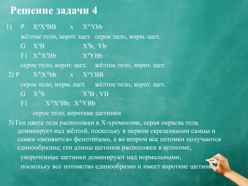 Нормально реши. Решение генетических задач презентация. Генетика задачи. Генетические задачи Ломоносов. Задание 4.20.