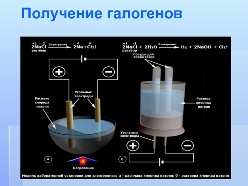 Работа по теме галогены. Получение йода электролизом. Способы получения галогенов галогенов. Получение галогенов электролизом. Биологическое значение галогенов.