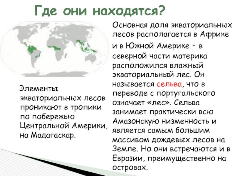 Географические особенности влажных экваториальных лесов. Сообщение о влажном экваториальном лесу. Экваториальные леса презентация. Влажный экваториальный лес описание. Презентация на тему экваториальные леса.