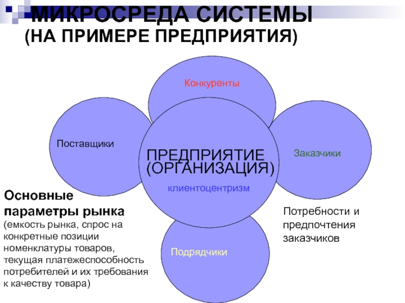 Микросреда проекта это