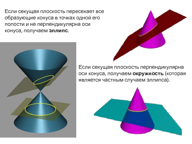Плоскость пересекает конус. Перпендикулярные образующие конуса. Плоскость перпендикулярная оси конуса пересекает конус по. Взаимно перпендикулярные образующие конуса. Секущая плоскость перпендикулярна оси конуса.