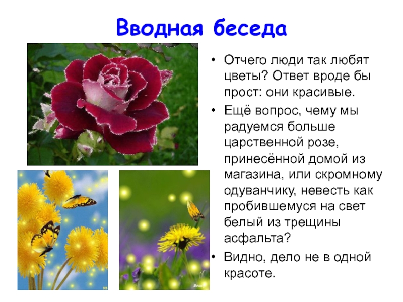 Вопрос ответ цветы. Примеры из цветов с ответами. Любимые цветы ответы. Отгадай Мои любимые цветы. Вводные цветы.