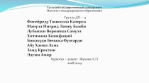 Тульский государственный университет
Институт международного образования
Группа